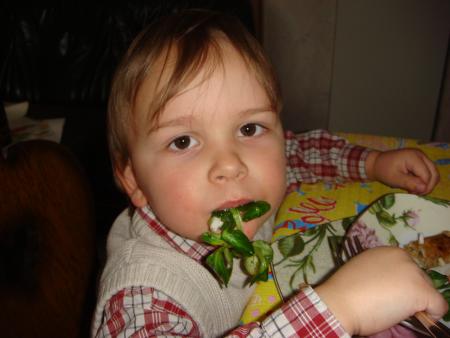 Oh ! le petit cochon, il s'appelle Naf Naf !