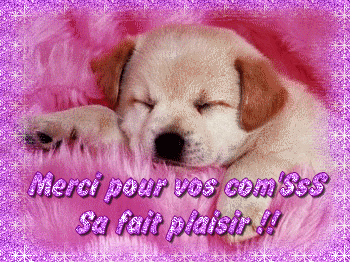 Merci !