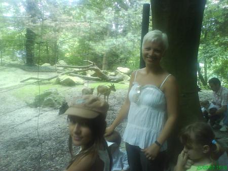 Petite promenade au zoo